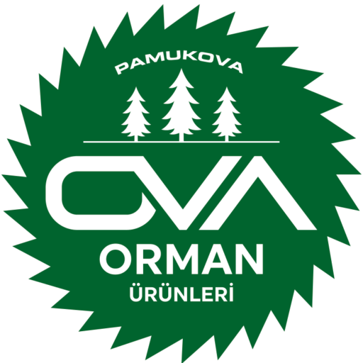 cropped-cropped-ova-logo-1.png