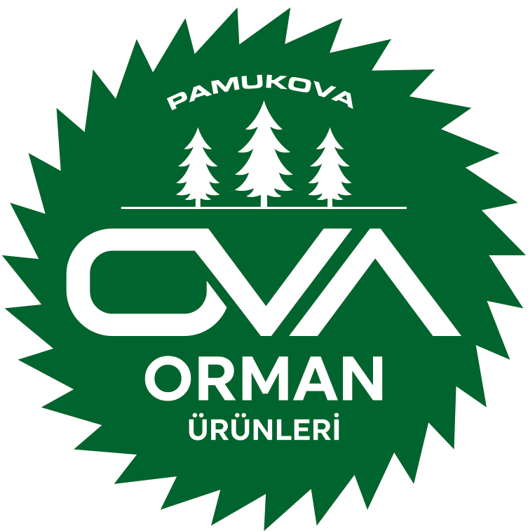 ova logo-1
